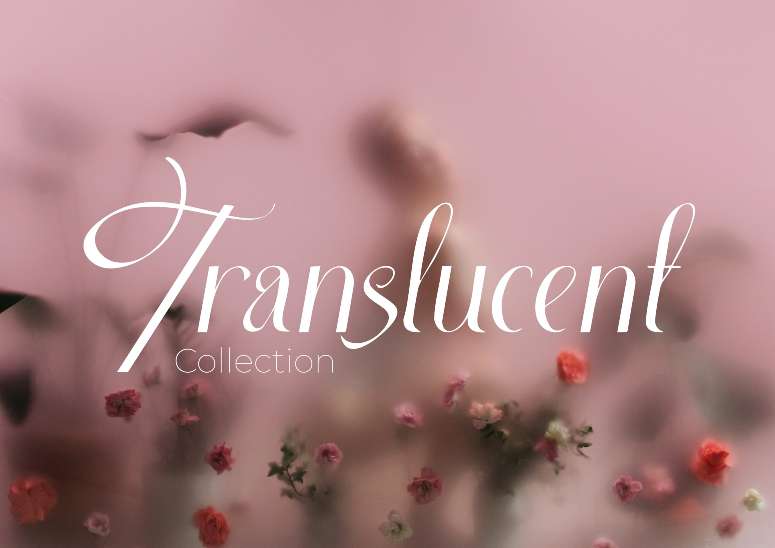 Diseño sin título - 10